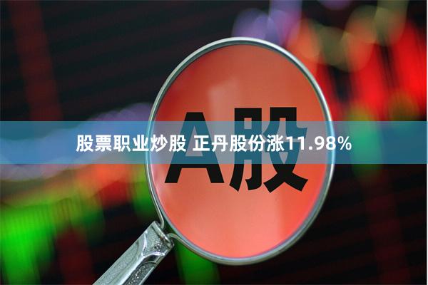 股票职业炒股 正丹股份涨11.98%